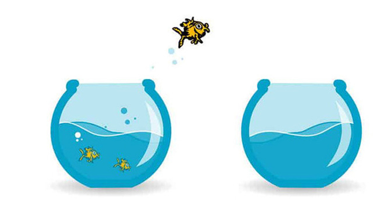  Chọn Tiền hay là Việc mình thích?  - Ảnh 2.